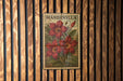 A vintage-style metal stamp with the word "MANDEVILLA" printed on it, featuring a floral design with red flowers and green leaves.