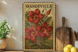 A framed vintage-style botanical illustration of mandevilla flowers is displayed on a shelf, accompanied by a wooden cutting board and a potted plant.