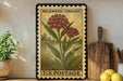 A framed illustration of a milkweeds plant on a U.S. postage stamp, with a wooden cutting board and a potted plant in the background.