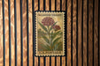 A vintage U.S. postage stamp featuring a milkweeds swamp plant, mounted on a wooden wall.