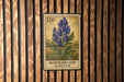 A postage stamp featuring a blue flower on a wooden background.