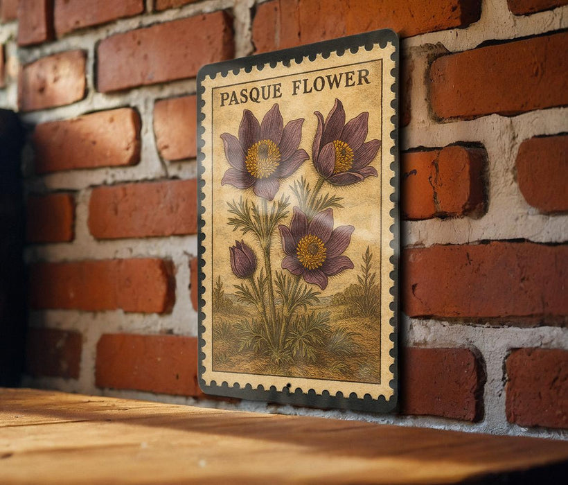 A framed illustration of a pasque flower is displayed on a brick wall, with a wooden table below it.