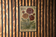 A 10-cent Persian buttercup postage stamp is displayed on a wooden wall.