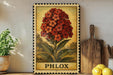 A framed illustration of a red flower with green leaves, labeled "PHLox", is displayed on a shelf next to a wooden cutting board and a potted plant.