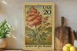 A framed U.S. postage stamp depicting a red flower, with the text "Queen of the Prairie" printed on it, placed on a shelf next to a wooden cutting board and a potted plant.