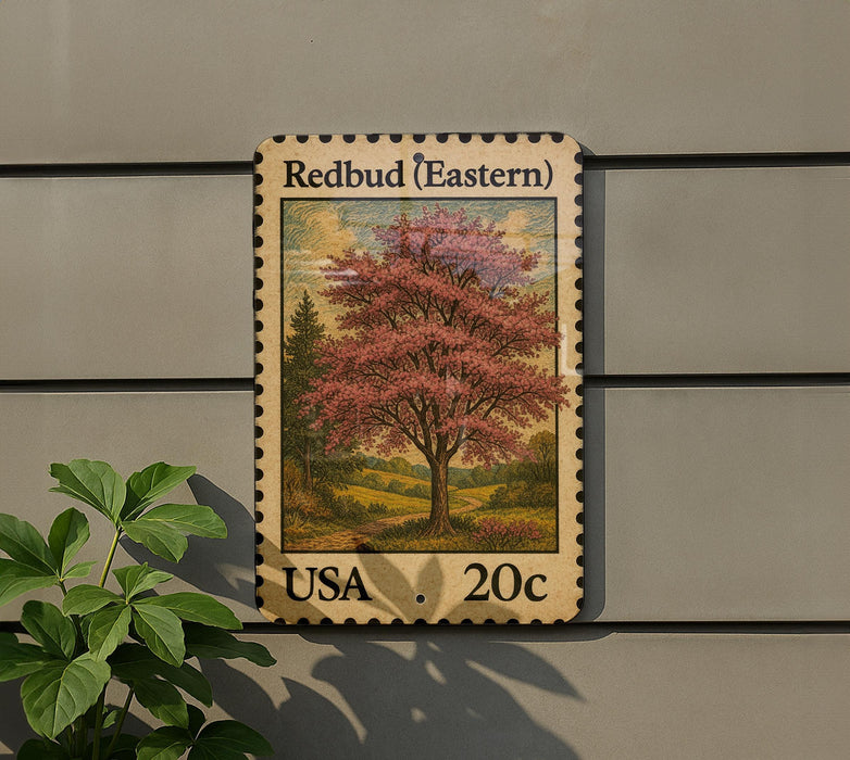 A wooden postcard-style stamp depicting a redbud tree, with the text "Redbud (Eastern)" and "USA 20c" printed on it, mounted on a wall next to a plant.