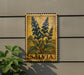 A framed botanical illustration of blue flowers is displayed on a wall, with the word "SALVIA" written below the illustration.