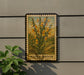 A framed illustration of a Scotch broom plant is displayed on a wall, with a plant to the left of the frame.
