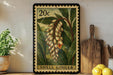 A framed image of a shell ginger plant on a shelf, with a wooden cutting board and a potted plant to the left.