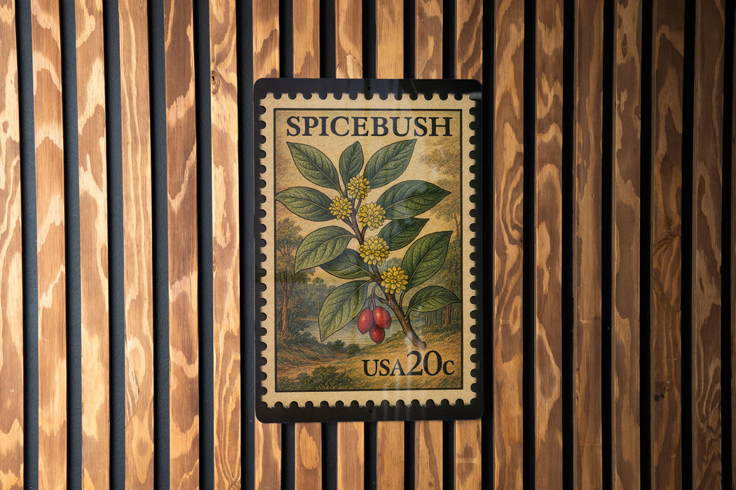 A framed stamp from the United States, featuring an illustration of a plant with red berries and green leaves, mounted on a wooden wall.