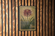 a framed illustration of a red flower with long petals, set against a wooden background with vertical slats.