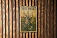a framed print of a floral illustration with the word "SPIREA" prominently displayed.