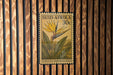 A postage stamp from South Africa featuring a yellow flower and green leaves, with the text "Süid-afrika 30c" and "Strelitzia (MANDELA'S GOLD)" printed on it.