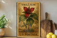 A framed stamp-like artwork depicting a red trillium flower, with the text "TRILLIUM" and "U.S. POSTAGE" printed on it, placed on a shelf next to a wooden cutting board and a potted plant.