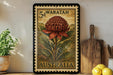 A framed stamp depicting a large red flower, likely a waratah, is displayed on a shelf next to a wooden cutting board and some kitchen utensils.