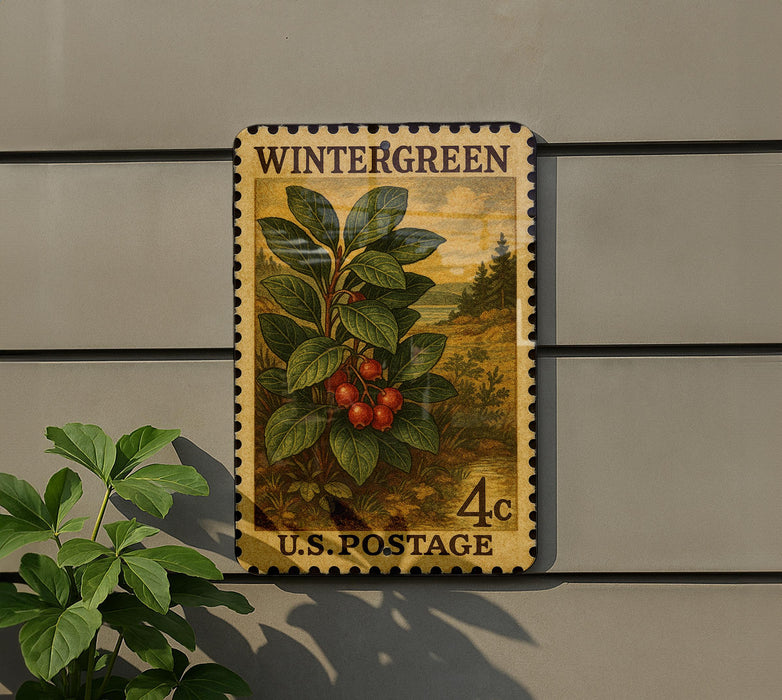 A vintage U.S. postage stamp depicting a plant with red berries, mounted on a wall next to a potted plant.