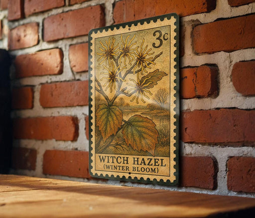 A vintage-style stamp depicting a witch hazel plant, with the text "Witch Hazel (Winter Bloom)" printed on it, is displayed on a brick wall.