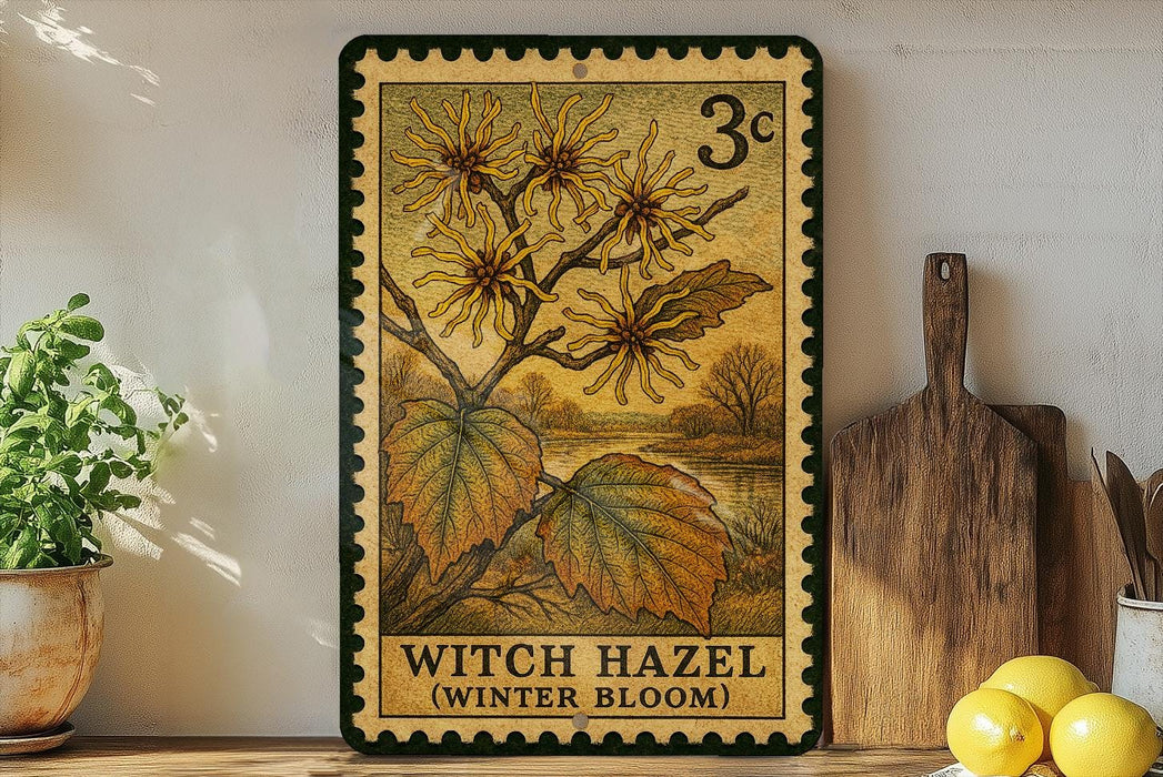 A vintage-style stamp depicting a witch hazel plant with yellow flowers, surrounded by autumn leaves, is displayed on a shelf next to a wooden cutting board and a potted plant.