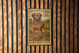 A vintage-style postage stamp featuring a brown dog standing in a grassy field, mounted on a wooden wall.