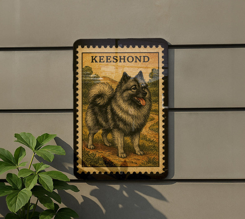 A framed illustration of a dog, specifically a Keeshond breed, is displayed on a wall.