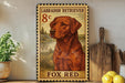 A framed vintage-style stamp featuring a Labrador Retriever dog, with the text "LADERD RETAILER" and "FOX RED" printed on it. The stamp is placed on a wooden surface, with a potted plant, a wooden cutting board, and some lemons nearby.