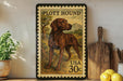A framed stamp depicting a hound dog, with the text "PLOTT HOUND" and "USA 30c" printed on it. The stamp is placed on a shelf next to a wooden cutting board and a potted plant.