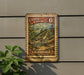 A vintage-style metal sign with a fish illustration, mounted on a wall next to a plant.