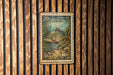 A 20-cent stamp depicting a common carp fish, which is a type of carp, is hanging on a wooden wall.