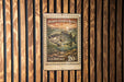 A U.S. postage stamp featuring a striped bass is displayed on a wooden wall.