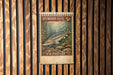 A vintage U.S. postage stamp featuring a sturgeon fish, which is a type of fish with a distinctive appearance, is displayed on a wooden wall.