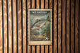 A vintage U.S. postage stamp featuring a fish, mounted on a wooden wall.