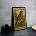 A U.S. postage stamp featuring an illustration of an American robin, placed on a countertop next to some black camera lenses.