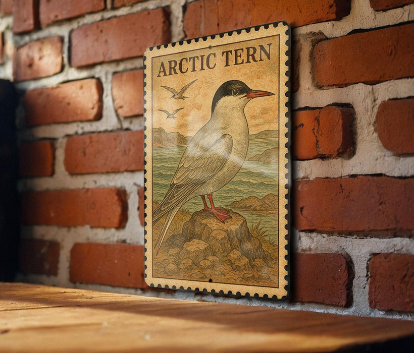 A wooden table with a framed illustration of a bird, likely depicting an Arctic tern, mounted on a brick wall.