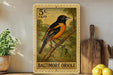 A Baltimore Oriole postage stamp is displayed on a shelf, surrounded by kitchen utensils and a potted plant.