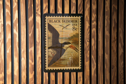 A postage stamp featuring a bird, likely a Black Skimmer, is displayed on a wooden wall.