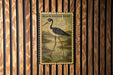 a large stamp-like illustration of a black-necked stilt standing on one leg in a pond, mounted on a wooden wall.