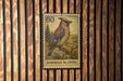 A postage stamp featuring a bohemian waxwing bird, which is hanging on a wooden wall.