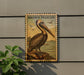 a large pelican with a long beak, standing on a rock and overlooking the ocean.