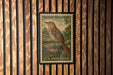 A vintage brown thrasher postage stamp from the U.S. Postal Service, featuring a detailed illustration of a bird perched on a branch.