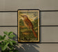 A vintage brown thrasher postage stamp from the U.S. Postal Service, featuring a detailed illustration of a brown thrasher bird perched on a rock.