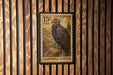A 15 cent United States postage stamp featuring a California condor, which is a large bird of prey, is displayed on a wooden wall.