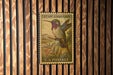 A U.S. postage stamp featuring a Calliope hummingbird is displayed on a wooden wall.