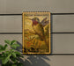 A vintage postage stamp featuring a colorful illustration of a calliope hummingbird, mounted on a wall next to a plant.