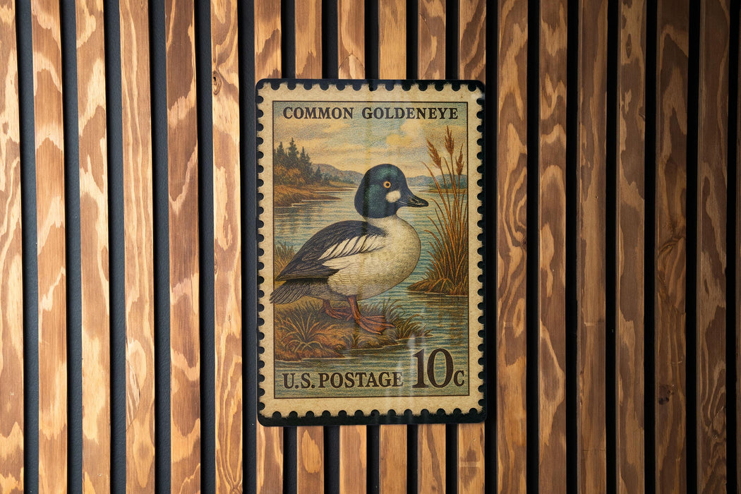 A vintage U.S. postage stamp featuring a Common Goldeneye duck, with a watermark indicating it is from the U.S. Postal Service.