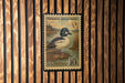 A vintage U.S. postage stamp featuring a Common Goldeneye duck, with a watermark indicating it is from the U.S. Postal Service.