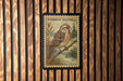 A postage stamp featuring a bird, specifically a Common Redpoll, is displayed on a wooden wall.