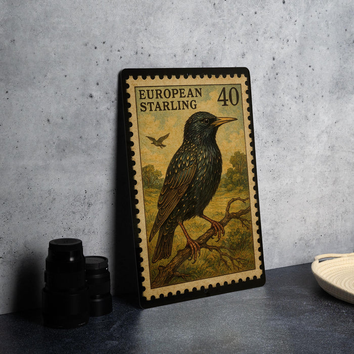 A framed European starling postage stamp is displayed on a table, with a stack of black camera lenses and a white dish visible in the background.