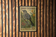 A vintage U.S. postage stamp featuring a gray catbird perched on a branch with flowers, mounted on a wooden wall.
