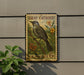 A vintage postage stamp featuring a gray catbird perched on a branch with flowers, mounted on a wall next to a plant.