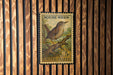 A 5c United States postage stamp featuring a detailed illustration of a house wren perched on a branch.
